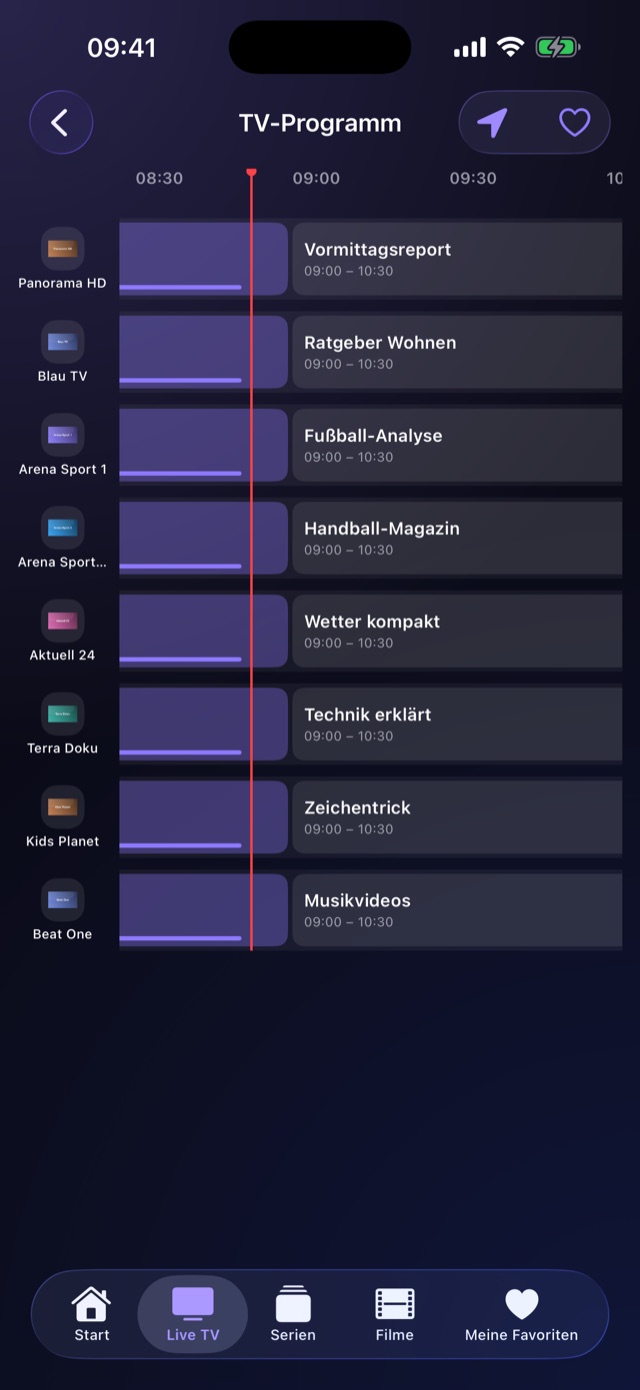 Programmführer als Zeitraster über mehrere Sender